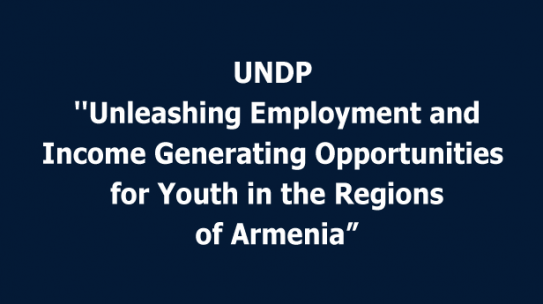 UNDP ”Unleashing Employment and Income Generating Opportunities for Youth in the Regions of Armenia” Project